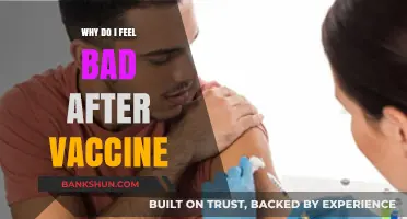 Understanding Post-Vaccine Fatigue: Why You Might Feel Bad After a Jab
