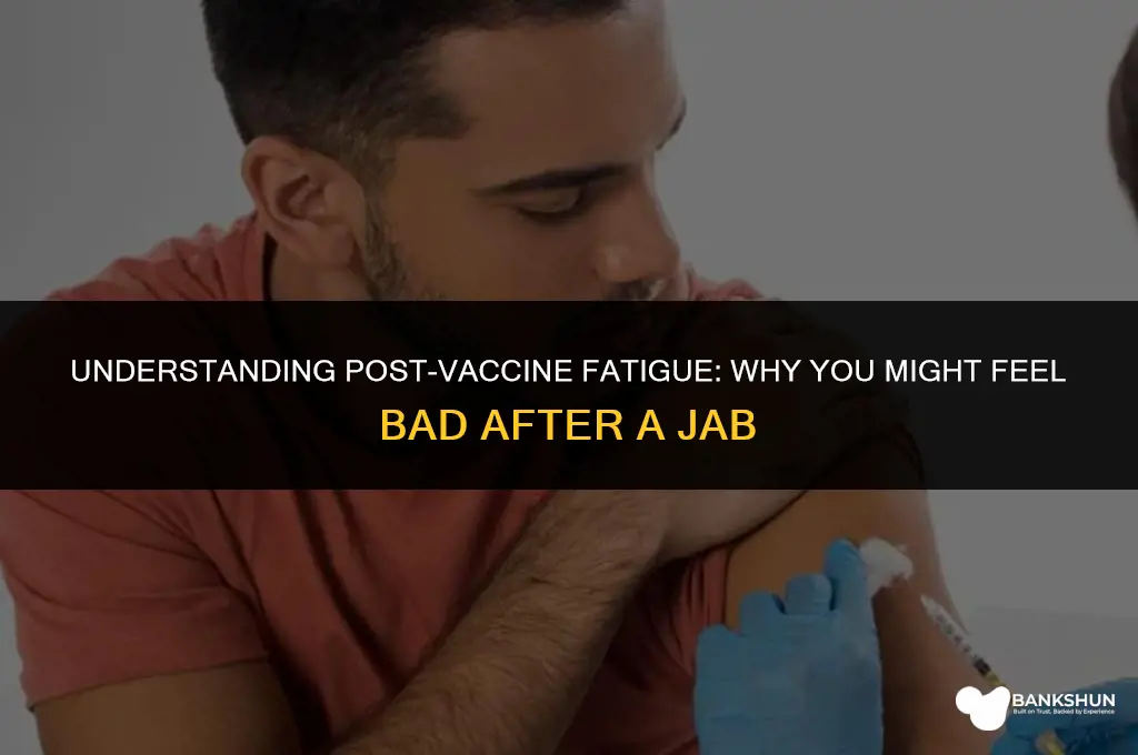 why do i feel bad after vaccine