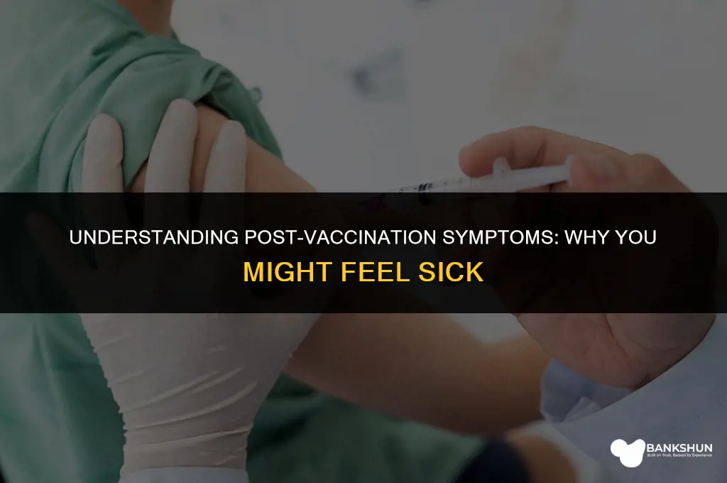 why do i feel sick after vaccination