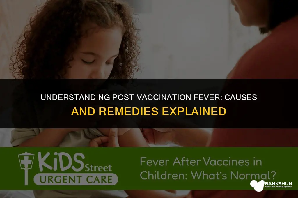 why do i have fever after vaccine
