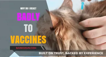 Unraveling the Mystery: Why Some Bodies React Strongly to Vaccines