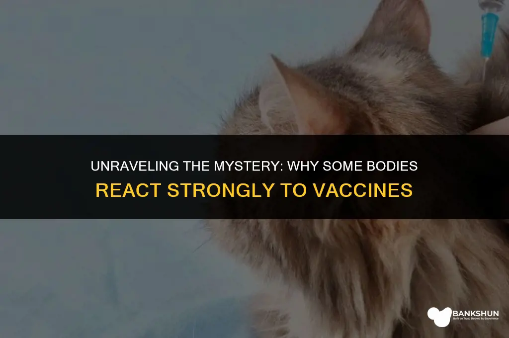 why do i react badly to vaccines