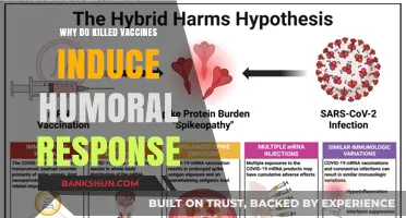Unveiling the Mystery: How Killed Vaccines Trigger Humoral Immunity