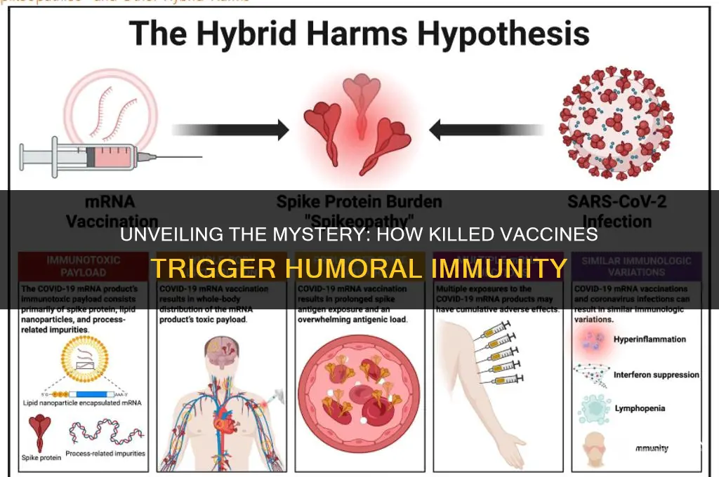 why do killed vaccines induce humoral response