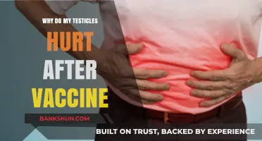 Post-Vaccine Testicular Discomfort: Causes and Remedies Explained