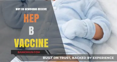 Protecting New Life: The Importance of Hepatitis B Vaccination for Newborns