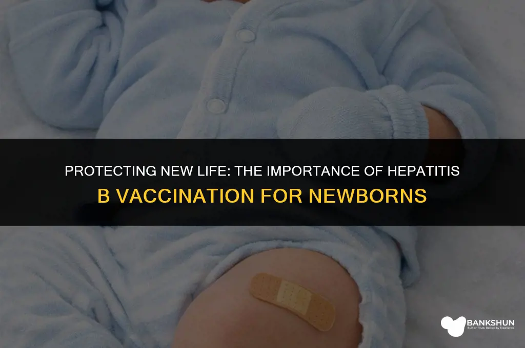 why do newborns receive hep b vaccine
