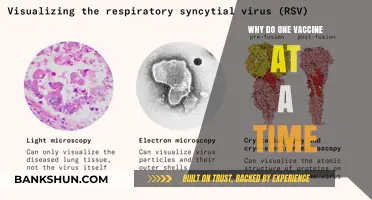Sequential Vaccination: Unraveling the Science Behind One Jab at a Time