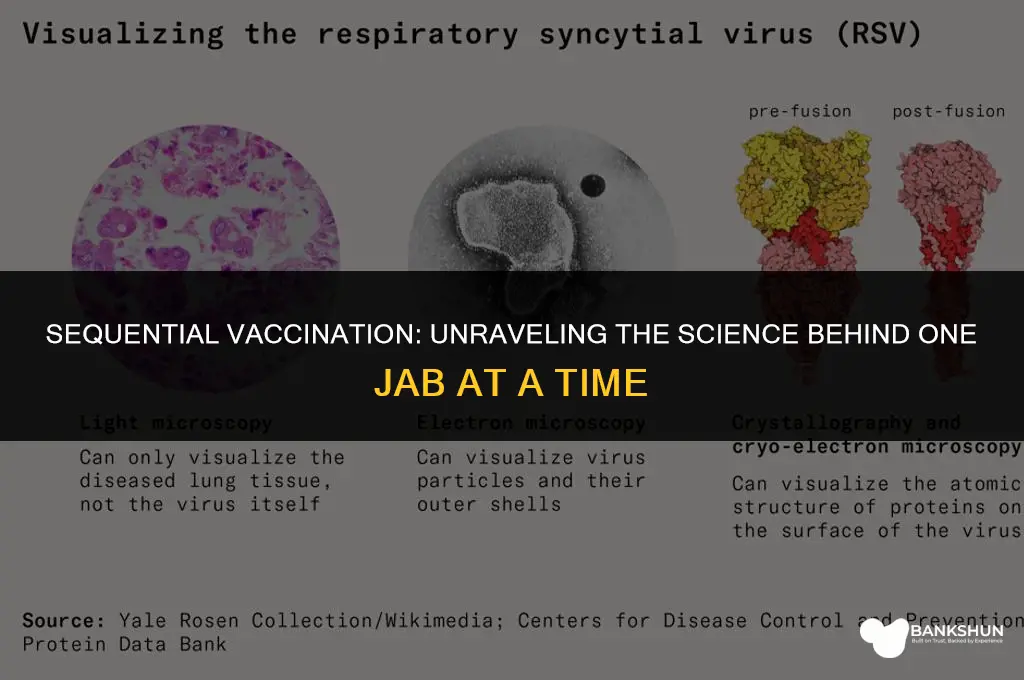 why do one vaccine at a time