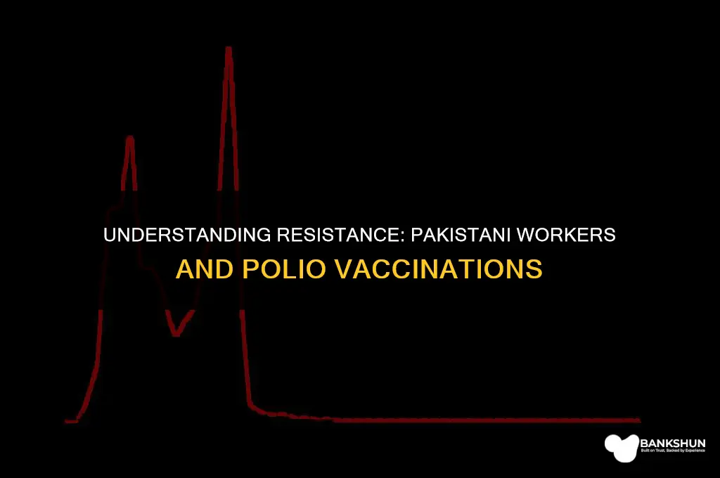 why do pakistani workers resist polio vaccinations