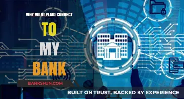Troubleshooting Plaid: Bank Connection Issues